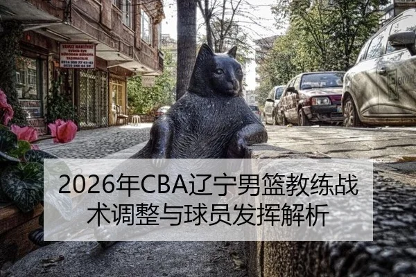 nian-liao-ning-nan-lan-jiao-lian-zhan-shu-tiao-zheng-yu-qiu-yuan-fa-hui-jie-xi-2-287.jpg